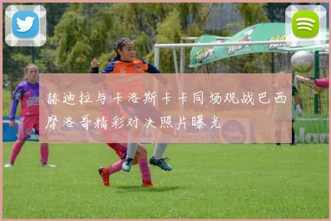赫迪拉与卡洛斯卡卡同场观战巴西摩洛哥精彩对决照片曝光